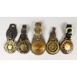 FIVE ANTIQUE HORSE BRASSES ON LEATHERS.