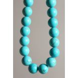 A GOOD LARGE TURQUOISE BEAD NECKLACE.