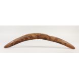 A GOOD 19TH CENTURY AUSTRALIAN WOODEN BOOMERANG, carved with nine various kangaroos. 57cms long x