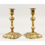 A PAIR OF EARLY BRASS PETAL BASE CANDLESTICKS. 17cms high.