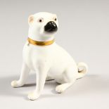 A MINIATURE ENGLISH PORCELAIN SEATED WHITE BOXER DOG with gilt collar. 10cms high.