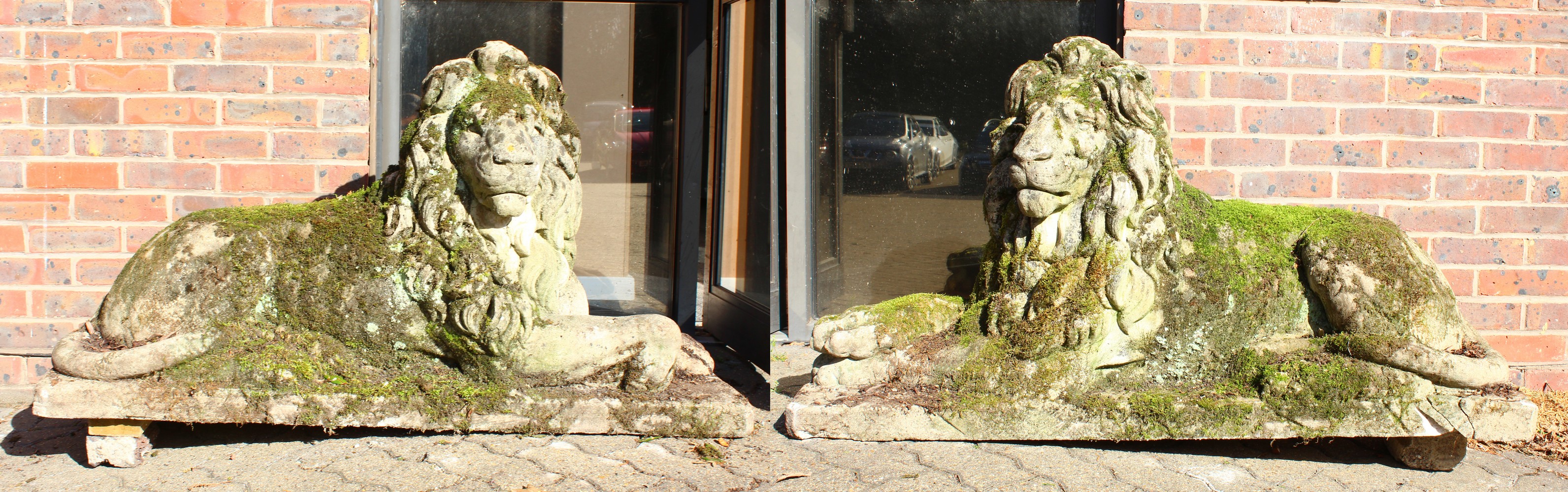 AN IMPOSING PAIR OF RECONSTITUTED STONE LIONS, in a recumbent pose, each looking to the side. 128cms