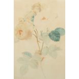 Caroline Kohler (19th Century) German. Study of a Wild Rose, Watercolour, Signed and Dated 1839, 14"