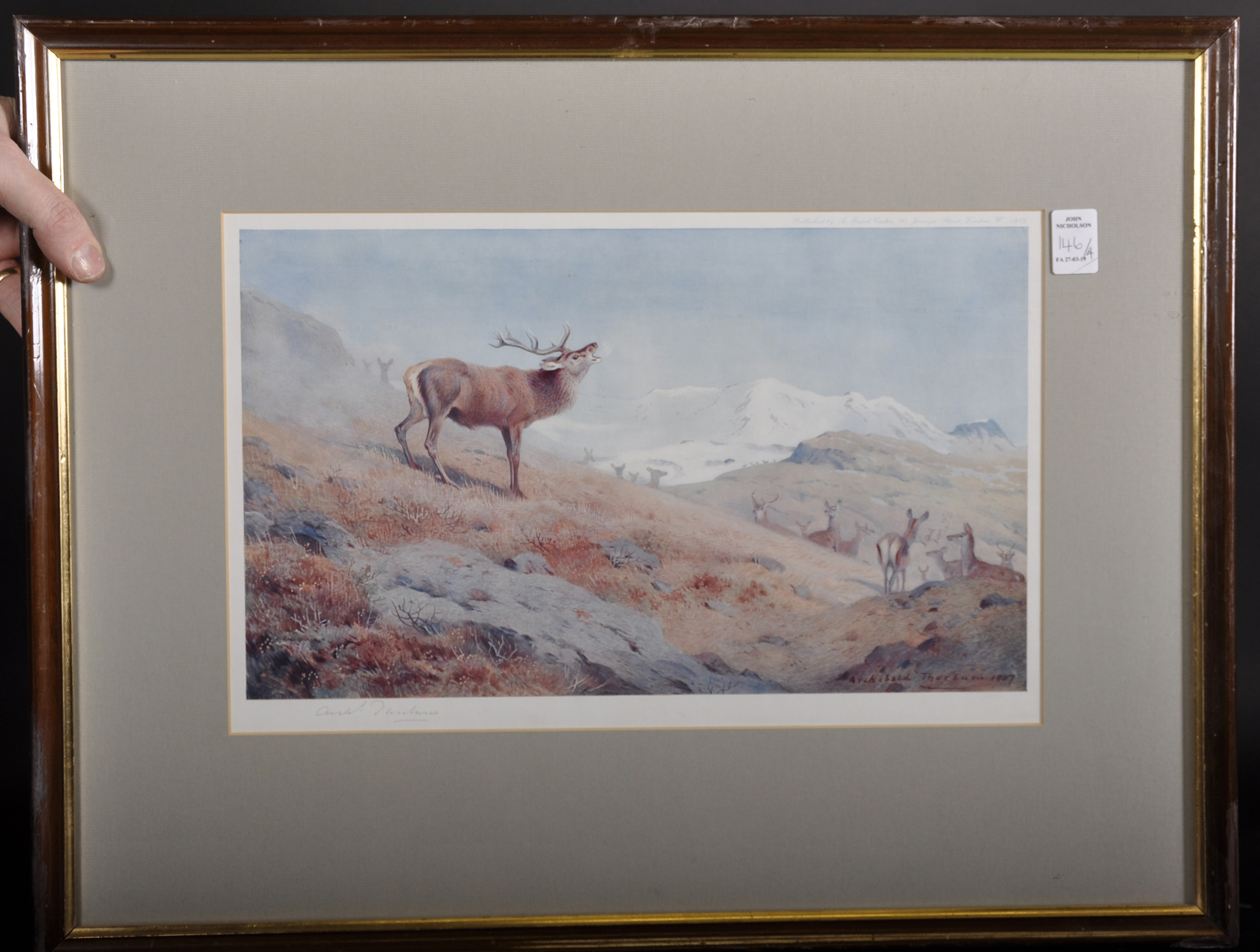 Archibald Thorburn (1860-1935) British. A Honking Deer, in a Highland Winter Landscape, - Image 5 of 6