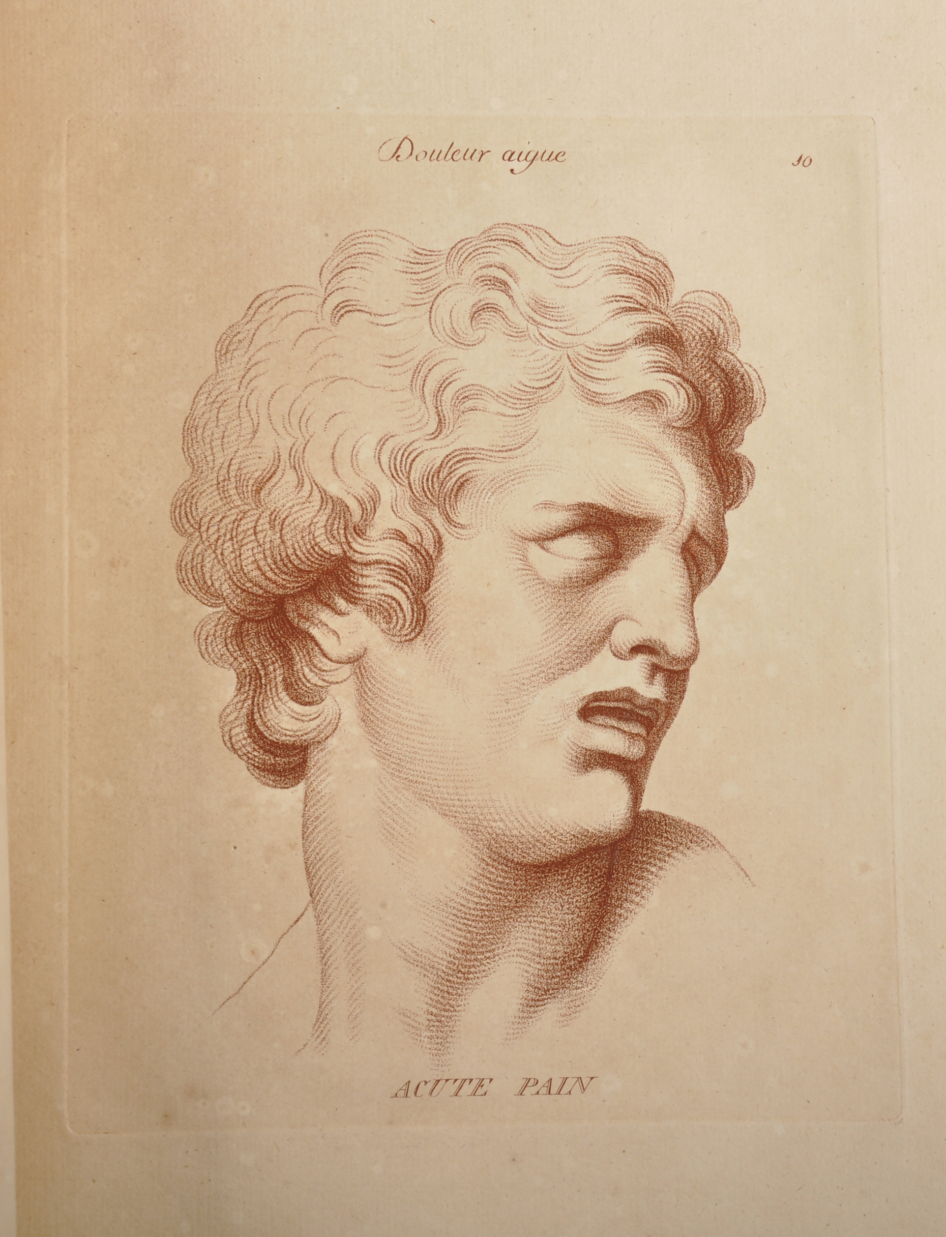 Charles Le Brun (1619-1690) French. "The Passions of the Soul", a Head Study, Sepia Stipple - Image 4 of 7