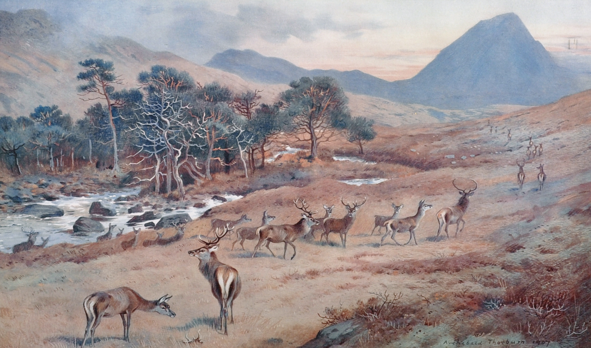 Archibald Thorburn (1860-1935) British. A Honking Deer, in a Highland Winter Landscape,