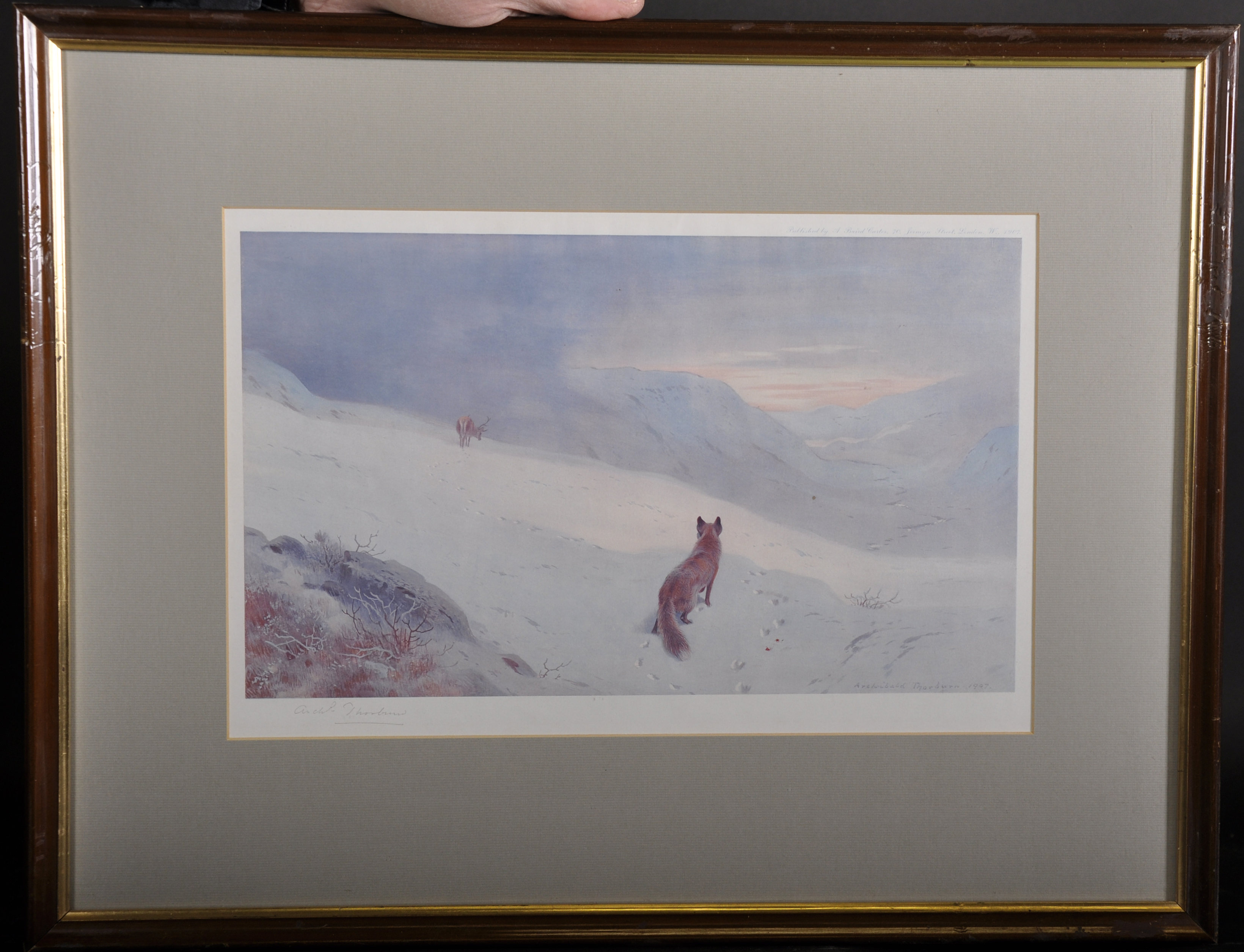 Archibald Thorburn (1860-1935) British. A Honking Deer, in a Highland Winter Landscape, - Image 3 of 6