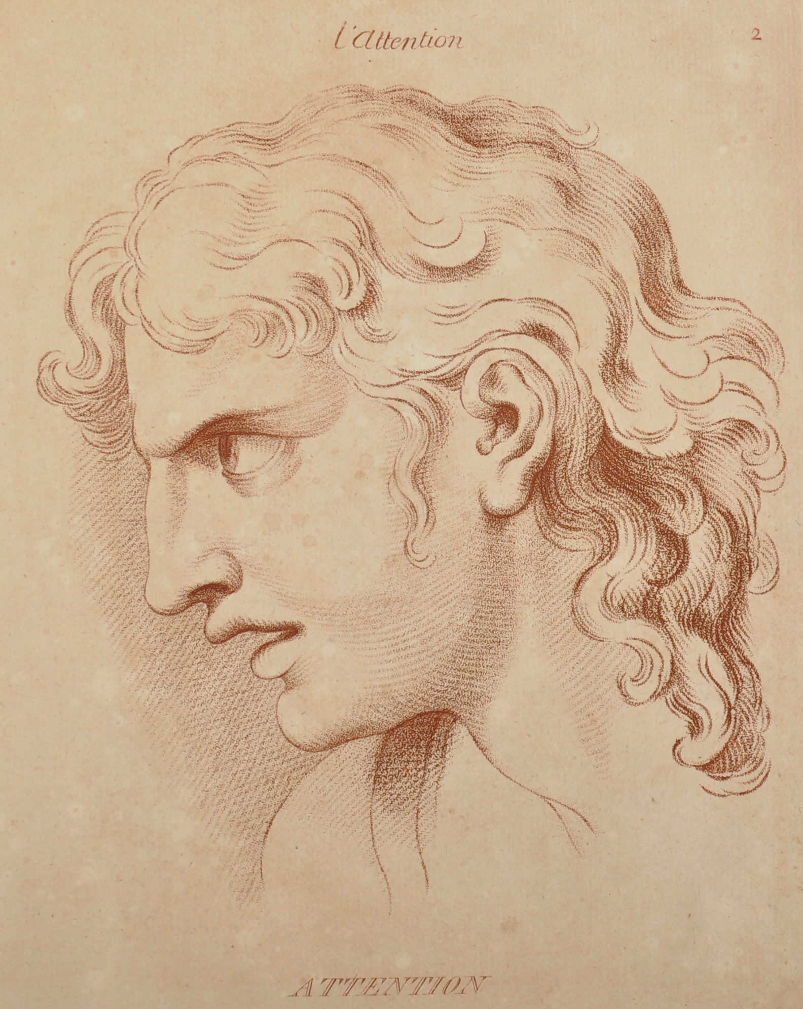 Charles Le Brun (1619-1690) French. "The Passions of the Soul", a Head Study, Sepia Stipple