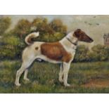 Early 20th Century English School. A Fox Terrier, Oil on Board, Signed with Initials 'JAC', 9" x