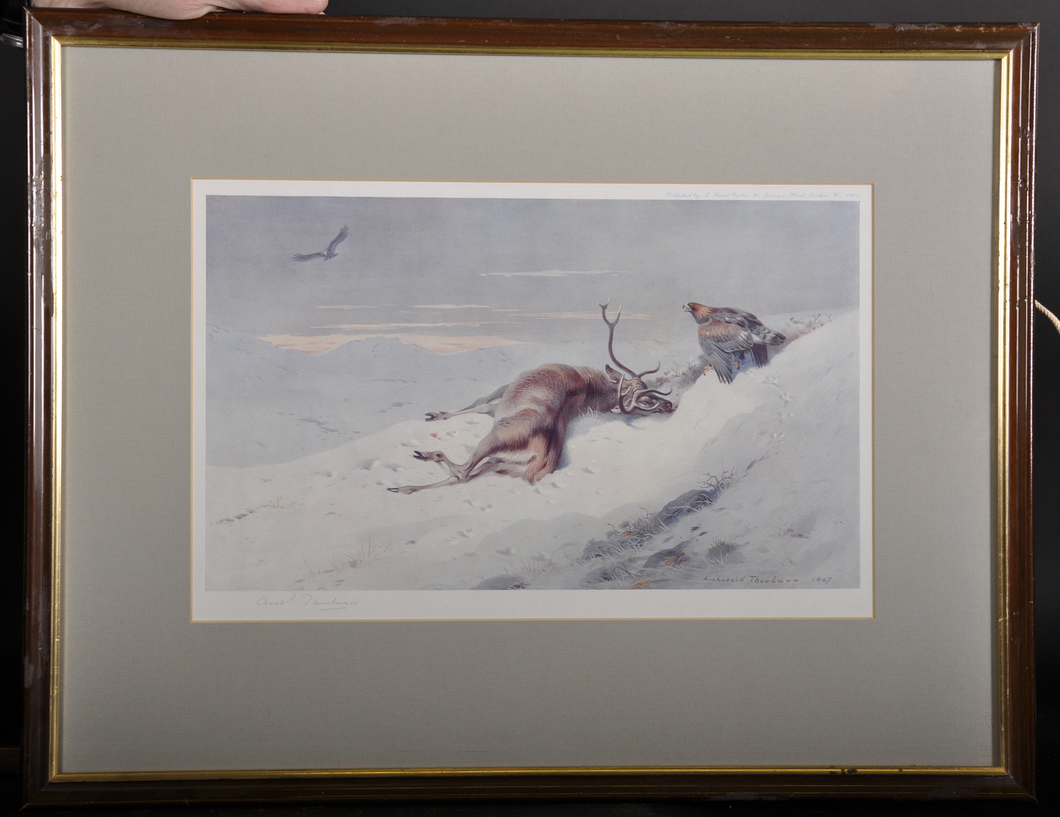 Archibald Thorburn (1860-1935) British. A Honking Deer, in a Highland Winter Landscape, - Image 4 of 6