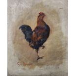 George Augustus Holmes (1822-1911) British. Study of a Cockerel, Oil on Paper, Signed, and Inscribed