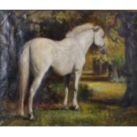 20th Century English School. Study of a Grey Horse in a Woodland Setting, Oil on Canvas,