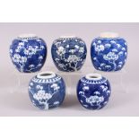 A GROUP OF FIVE 19TH CENTURY CHINESE BLUE & WHITE PRUNUS JARS, the bases of each bearing a double