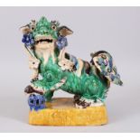 A CHINESE EARTHENWARE MODEL OF A DOG OF FOO / LION DOG, painted in blue,green,brown and yellows,