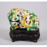 A GOOD 19TH CENTURY CHINESE SANCAI GLAZED MYTHICAL DOG CENSER ON HARDWOOD STAND, with three colour