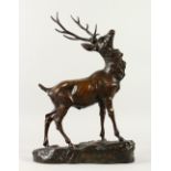 T. CARTIER (CIRCA 1900). A SUPERB BRONZE STAG. Signed . 47cms high x 30cms long.