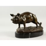 A GOOD BRONZE OF A PIG tethered to a stake. 27cms long, on an oval marble base.