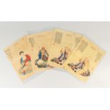 A SET OF FOUR CHINESE PICTURES, of seated figures, unframed. 27.5cms x 21cms.