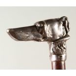 A WALKING STICK with cast silver handle of a GREYHOUND. 92cms long.