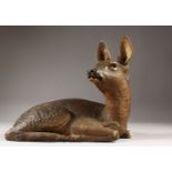 A GOOD TERRACOTTA MODEL OF A YOUNG DEER stamped W. R. I. 26cms high. 30cms long.