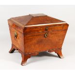 A GOOD SMALL REGENCY MAHOGANY CELLARETTE with rising top, lion handles on splay bracket feet.