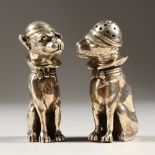 A PAIR OF STERLING SILVER NOVELTY DOG SALT AND PEPPERS. 8cms.