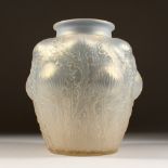 A LALIQUE VASE, "DOMREMY", OPAQUE, Etched R. Lalique, France, No. 979, 22cms high. Illustrated