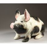 A LARGE WEMYSS PIG, naturalistically modelled in black and white. Impressed WEMYSS WARE, R. H. &