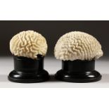 TWO SMALL CORAL SPECIMENS on circular wooden base. 9cms high.