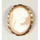 A GOLD MOUNTED CAMEO BROOCH.