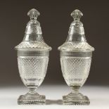 A PAIR OF GEORGIAN HOBNAIL CUT CONFITURES AND COVERS on square bases. 36cms high.