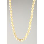 A PEARL NECKLACE, comprising fifty seven beads, each approx. 6mm diameter, with a 9ct gold clasp.