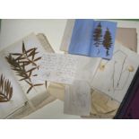 [HERBARIUM] an 1870's coll'n of dried and pressed flowers, ferns etc., collected in Switzerland, the