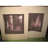 OVENDEN (Graham) 2 carbon-print photos in the manner of the antique, signed on the versos,