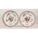 A GOOD PAIR OF 18TH CENTURY CHINESE EXPORT PLATES, decorated with floral design, 23cm diameter.