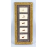 A SET OF FIVE 19TH CENTURY PERSIAN QAJAR POLO PAINTINGS on ivory in a single frame, each 6cm x