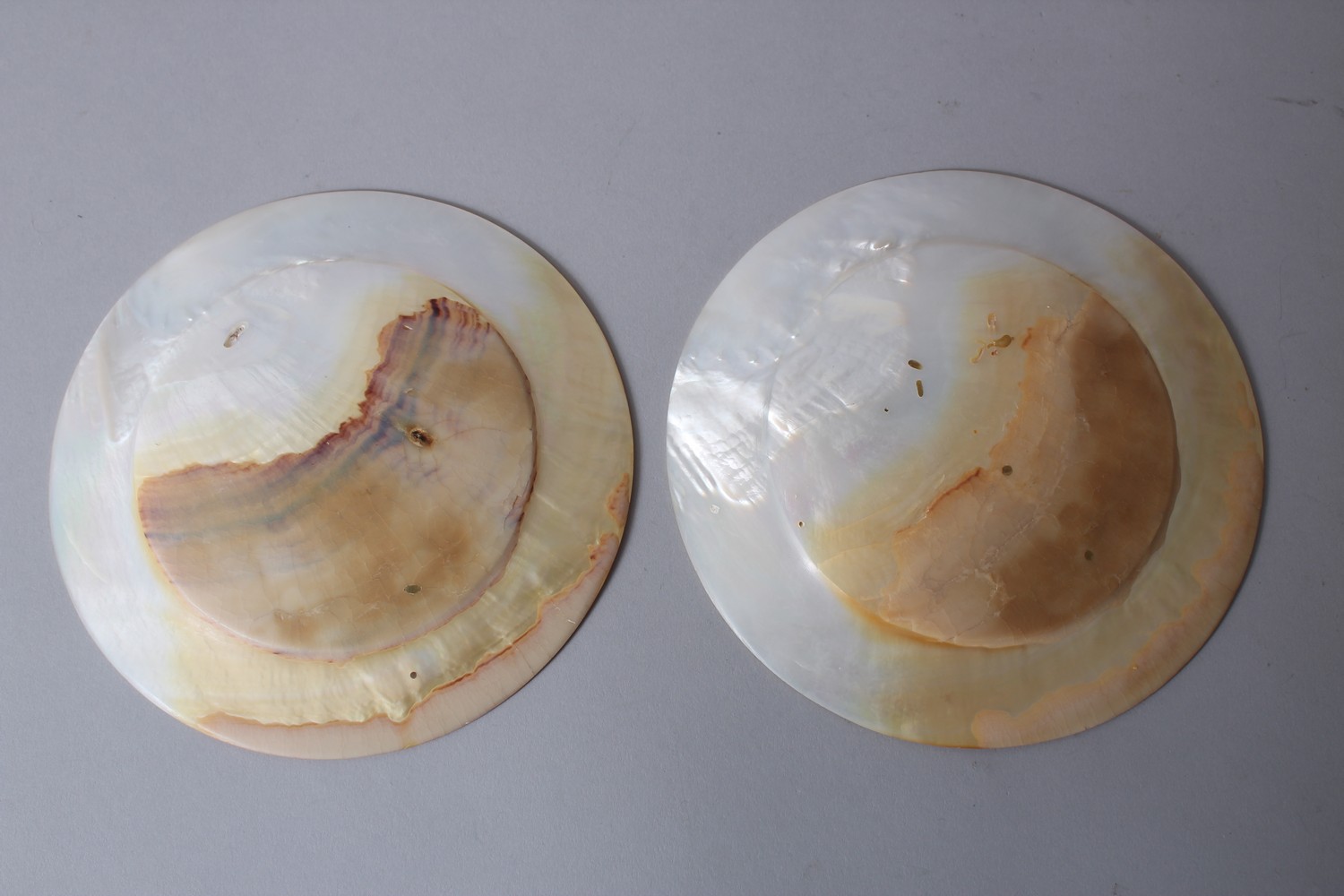 TWO 19TH CENTURY CHINESE MOTHER OF PEARL / ABALONE PLATES, 16.3cm diameter. - Image 2 of 2