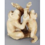 A JAPANESE MEIJI PERIOD IVORY OKIMONO OF TWO PLAYING MONKEYS, unsigned, the fur naturalistically
