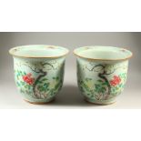 A PAIR OF 19TH CENTURY CHINESE FAMILLE ROSE JARDINIERE'S, both decorated with vibrant enamelled