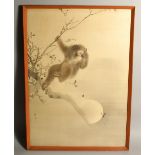 A GOOD JAPANESE MEIJI PERIOD PAINTING OF A MONKEY ON SILK, the monkey hanging from a cherry