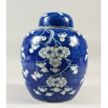 A 19TH CENTURY CHINESE BLUE & WHITE PORCELAIN PRUNUS GINGER JAR & COVER, the base with a double blue