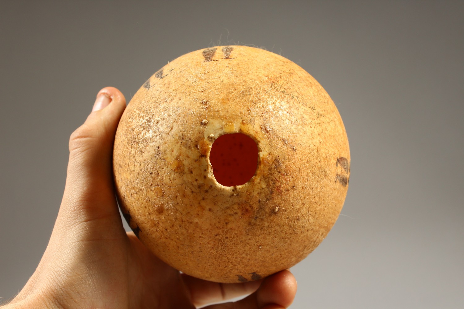 AN EMU EGG, naively painted with hunting figures. 14cms high. - Image 6 of 7