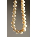 A STRING OF PEARLS with gold clasp.