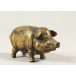 A PIG SHAPE BRASS VESTA CASE.