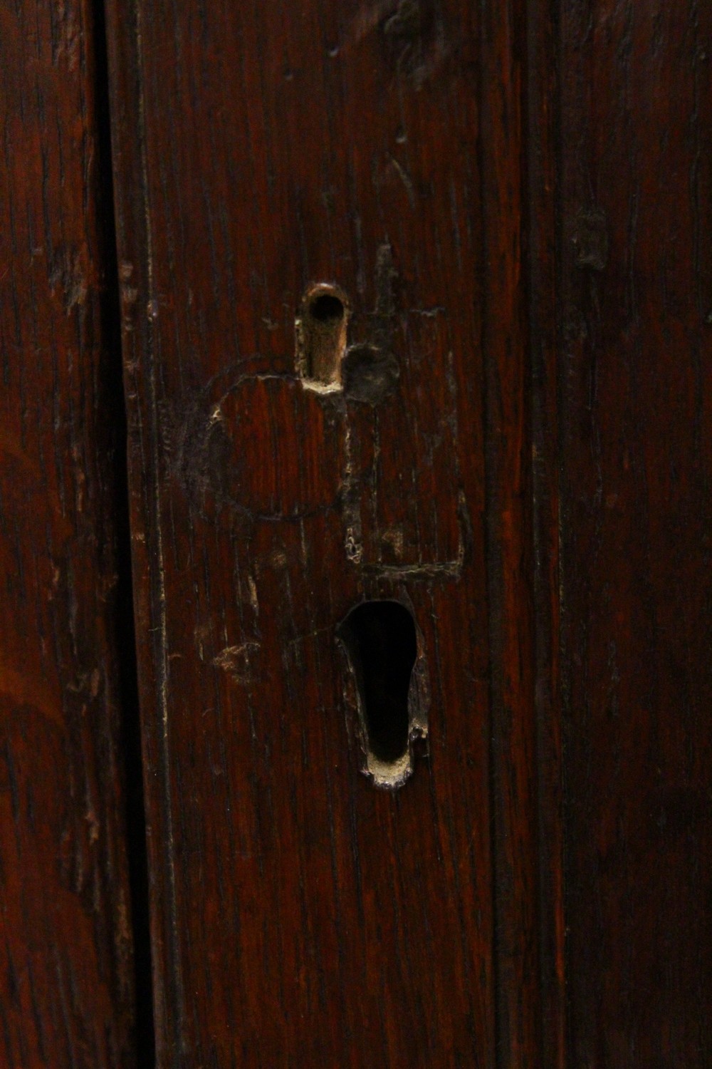A 19TH CENTURY OAK HANGING CORNER CUPBOARD, with a pair of panelled doors enclosing three shelves. - Image 6 of 8