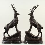 A PAIR OF BRONZE STAGS, standing on a rock, on oval bases. 45cms high.