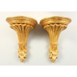 A PAIR OF GILDED WALL BRACKETS. 28cms long.