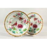 A PAIR OF IRON STONE CIRCULAR PLATES, painted with brilliant coloured birds and flowers. 24cms