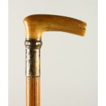 A HORN HANDLED HORSE MEASURING WALKING STICK. 98cm long.