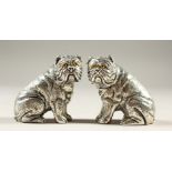 A PAIR OF SILVER PLATE BULLDOG NOVELTY SALT AND PEPPERS.